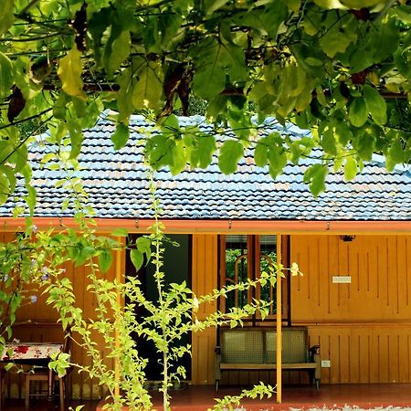 Marari Beach Pearl Homestay 마라리쿨람 외부 사진